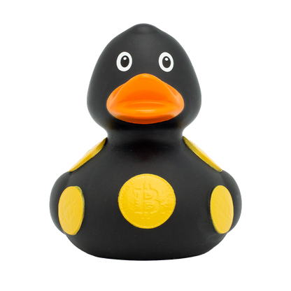 Canard Crypto Lilalu - vue 1
