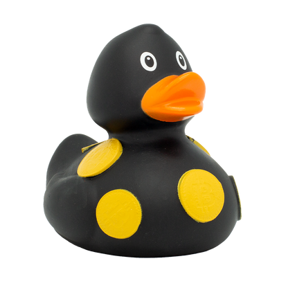 Canard Crypto Lilalu - vue 5