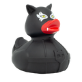 Canard Katty