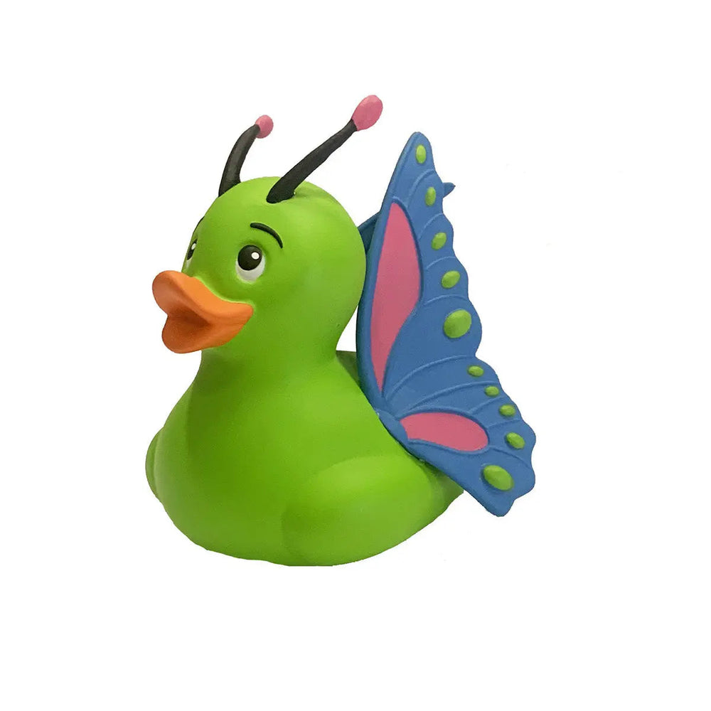 Canard Papillon