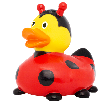 Canard Coccinelle Nouvelle Version Lilalu - vue 2