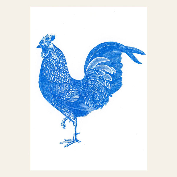 Ansichtkaart van een blauwe haan