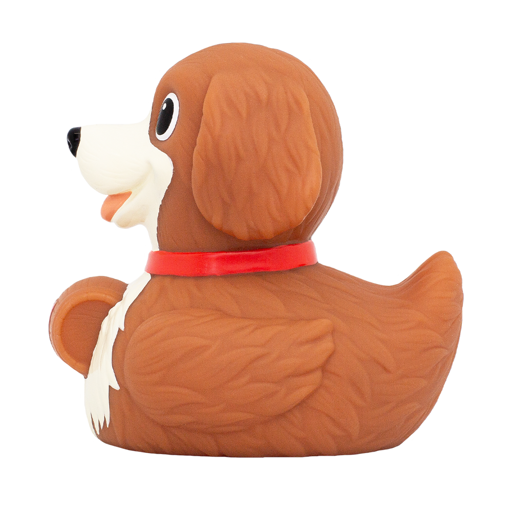 Duck Mountain Dog