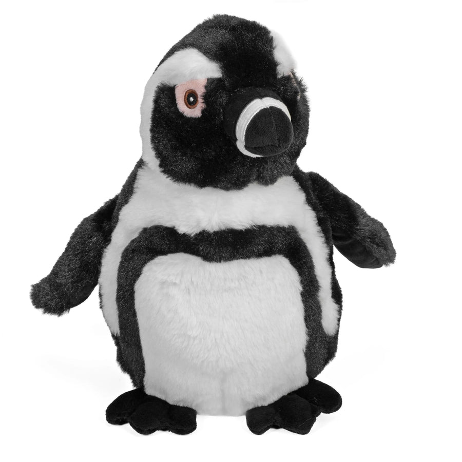 Afrikaanse pinguïn