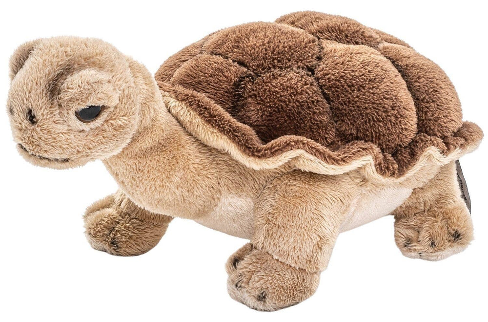 Peluche Tortue