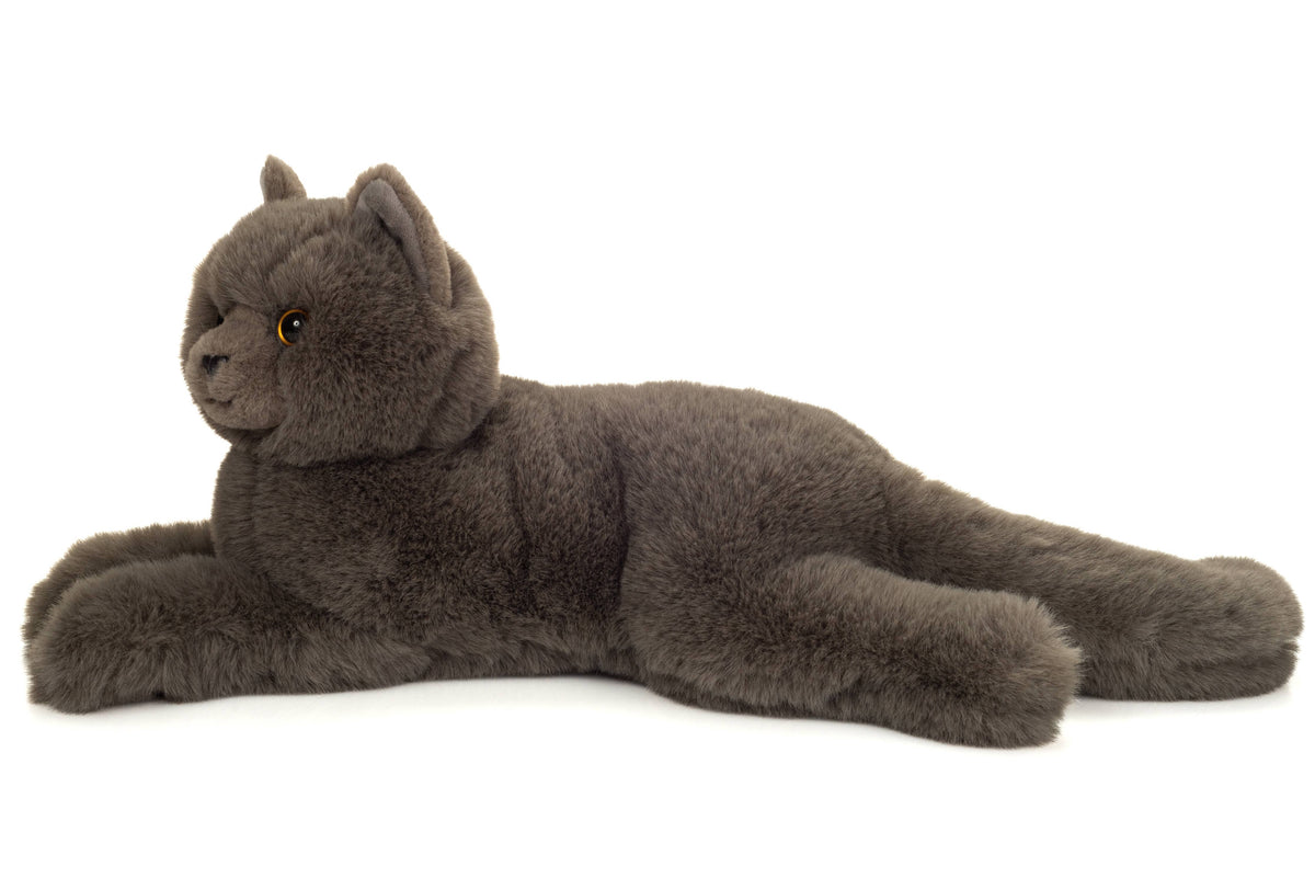 Plush Chartreux Cat lying down