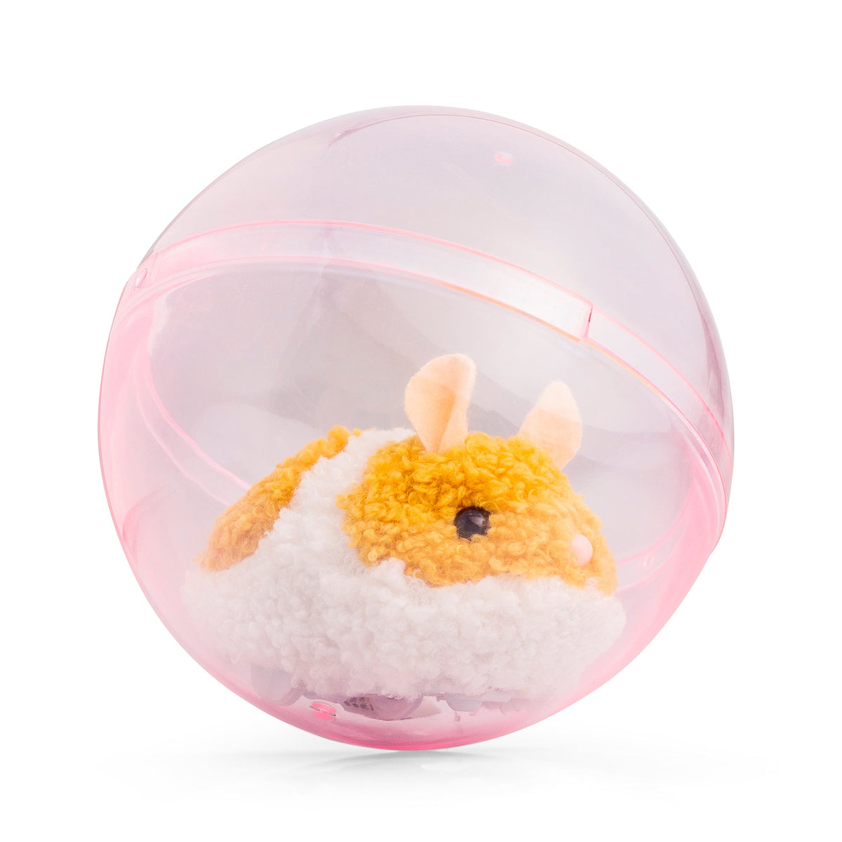 HAMSTER COURANT ANIMIGOS