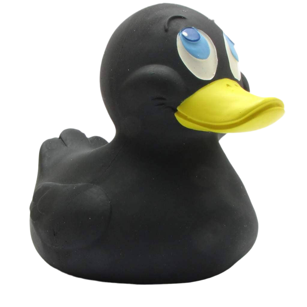 XXL Black Duck