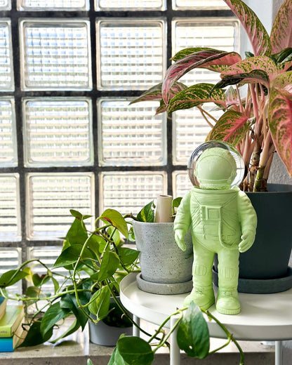 Boule à Neige Astronaute Vert