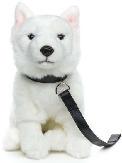 Plush Swiss Shepherd Puppy Sitting with Leash