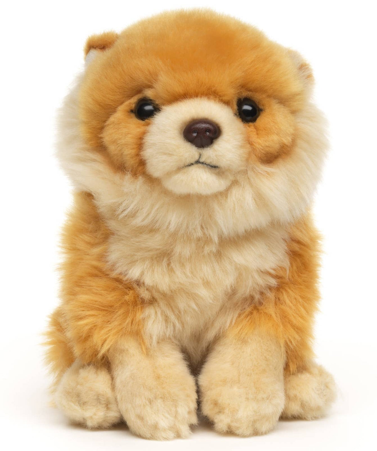 Peluche Spitz nain – 17 cm