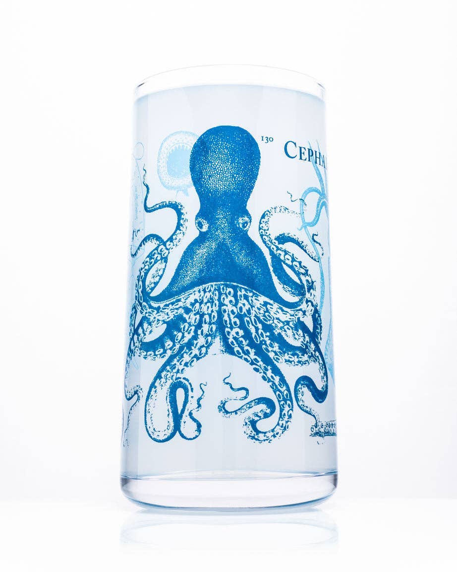Diepzeemonsters – Cephalopoden