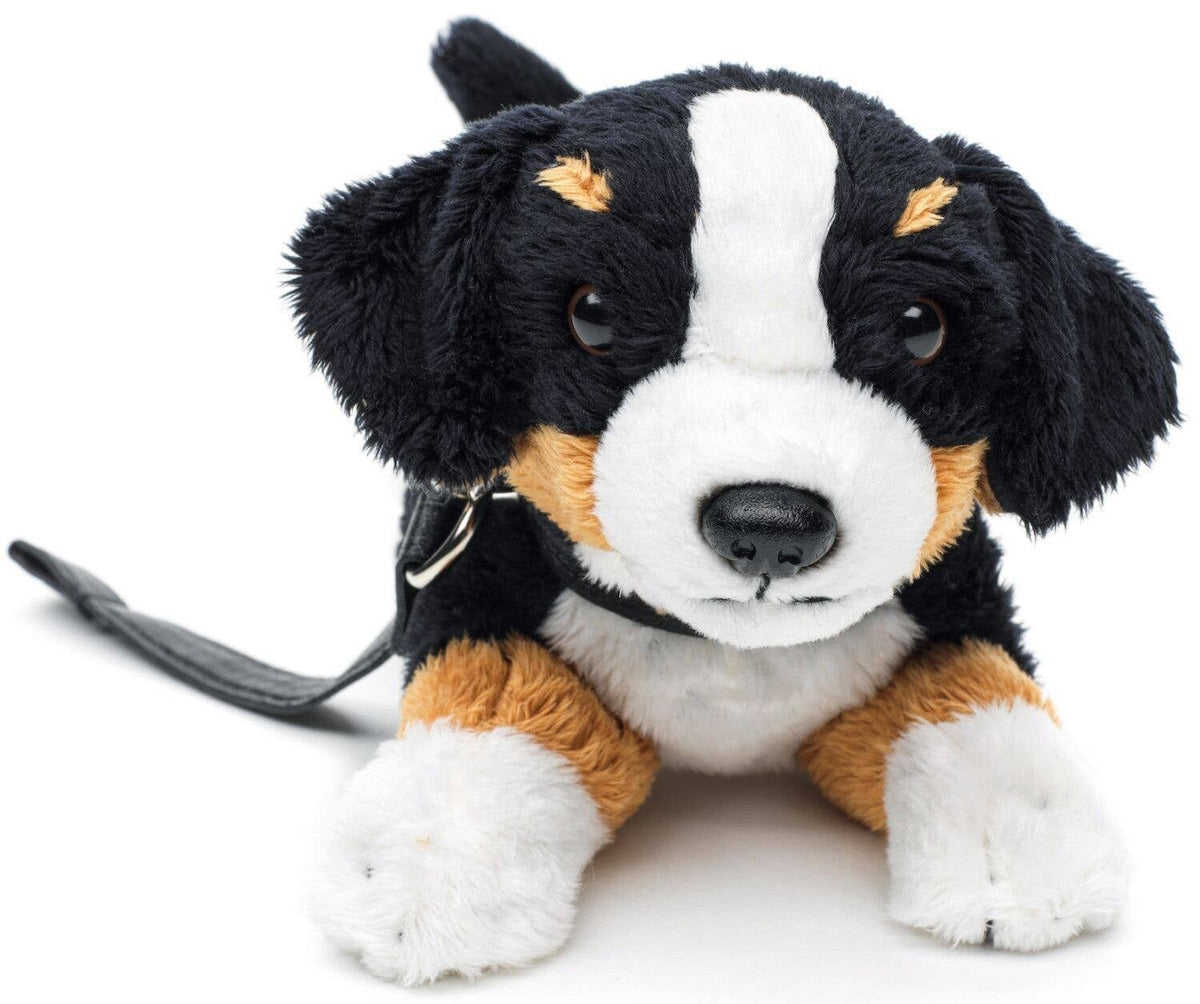 Peluche pour chien de montagne bernois (avec laisse) - 21 cm (longueur)