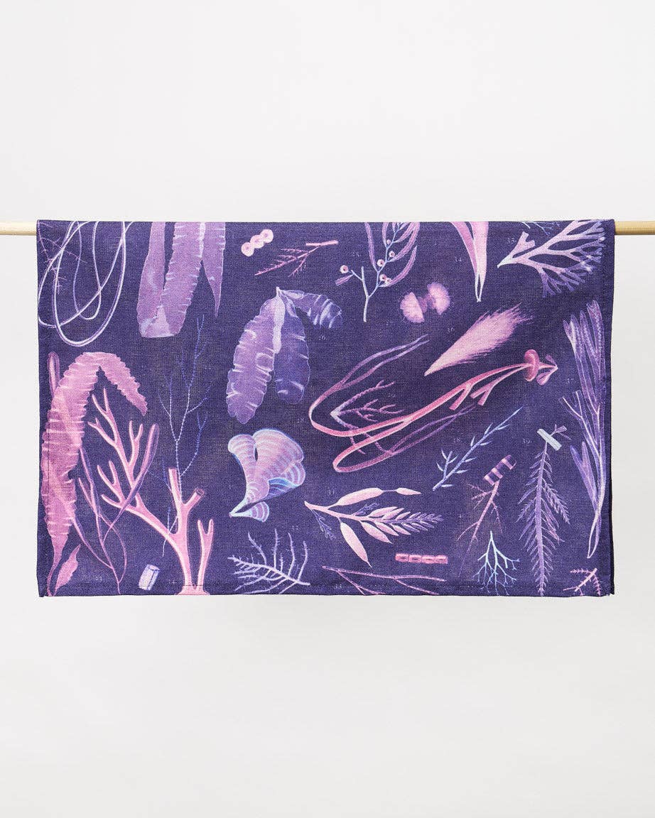 Torchon en Algues – produit scientifique Cognitive Surplus EU, vue 3