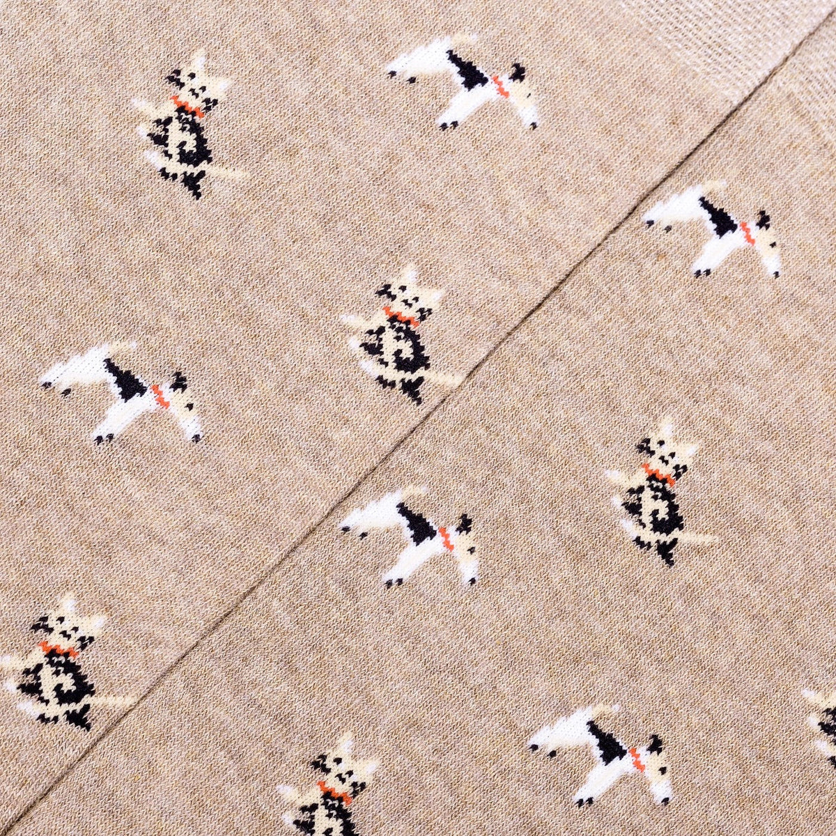 Chaussettes Animaux de Compagnie
