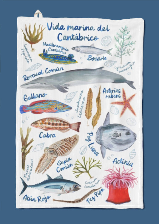 Torchon Vie marine de la mer Cantabrique