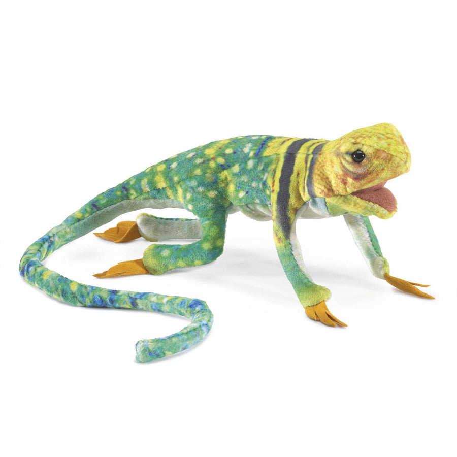 Lézard à collier