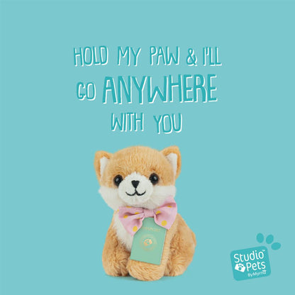 Mini Pomeranian Puppy Plush Toy