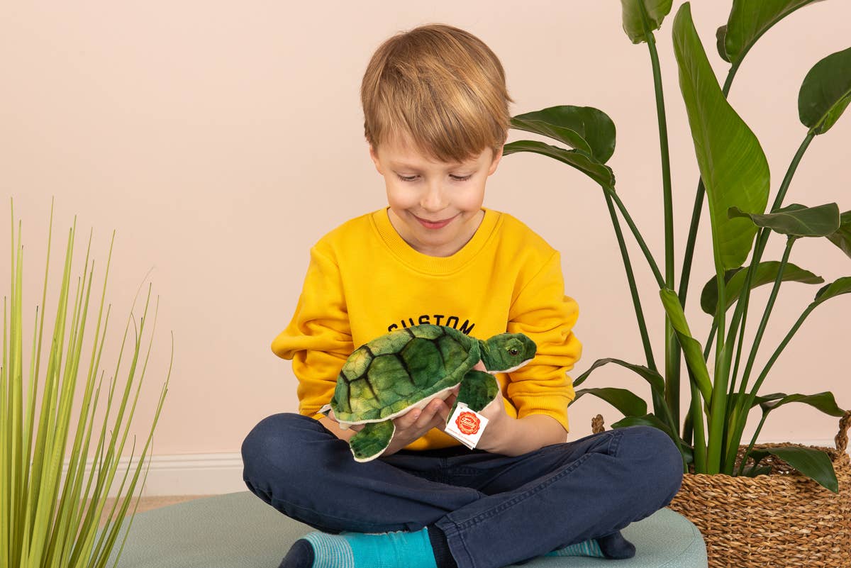 Peluche Tortue d'eau