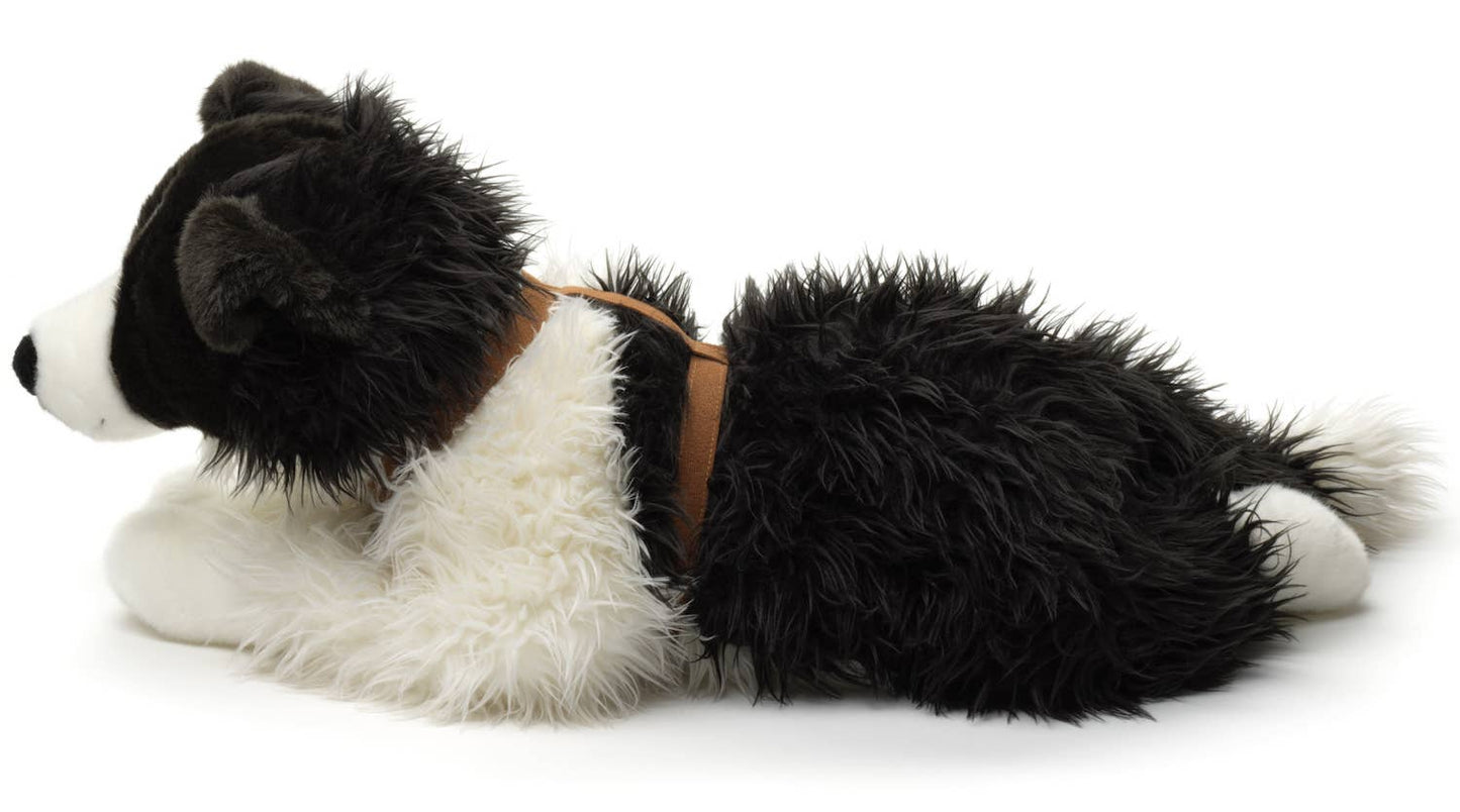 Plush Border Collie