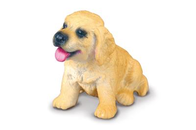 Golden Retriever Puppy - (S)