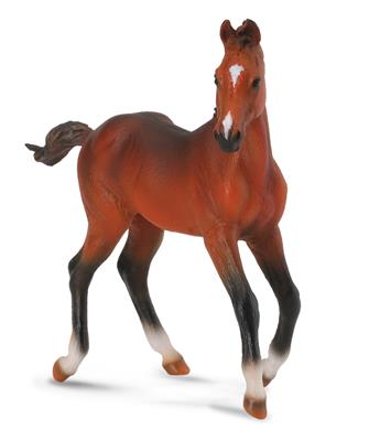 Figurine Poulain Quarter Horse Bai - (M)