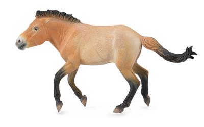 Figurine Étalon de Przewalski - (XL)