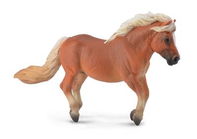 Shetlandpony - (M)