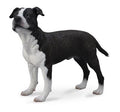 Figuur Staffordshire Américain Terrier - (L)
