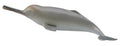 Figure Dauphin du Gange - (M)