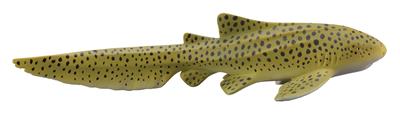 Requin-zèbre