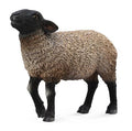 Figur Mouton Suffolk - (M)