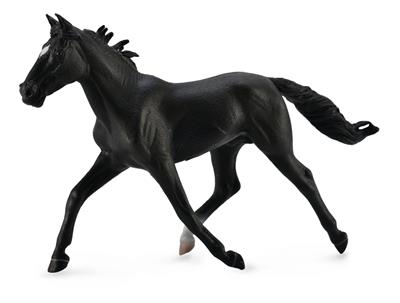Standardbred stallion Black - (XL)