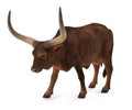 Figurine Vache Watusi - (L)