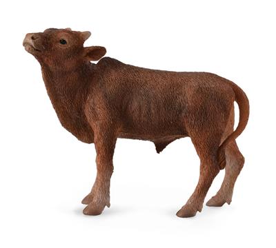 Watusi Calf - (S)