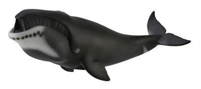 Groenlandse walvis - (XL)