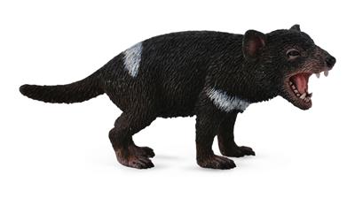 Tasmanian Devil - (M)