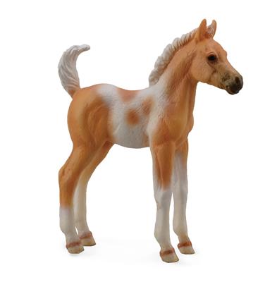 Pie Foal Standing - (M)