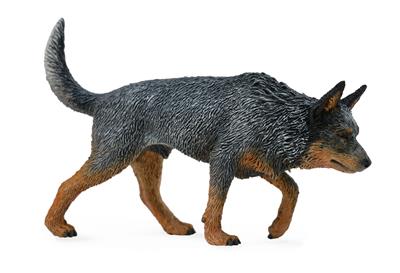 Australian Cattle Dog - (L)