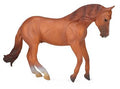 Figuur Hengst Australien Bruin - (XL)