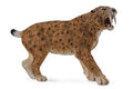 Smilodon Figurine - (XL)