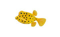 Figuur Poisson-Coffre Jaune - (S)
