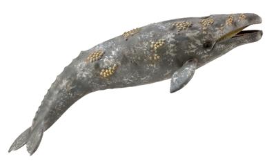 Figurine Baleine Grise - (XL)