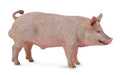 Figurine Sanglier - (M)