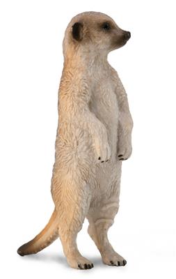 Collecta Animaux sauvages (S): SURICATE 2x6cm