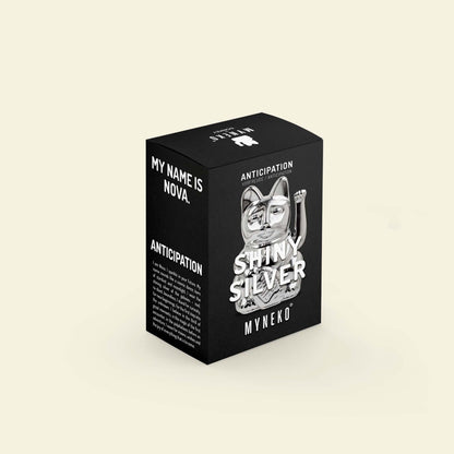 Lucky Silver Glitter Mini Cat "Nova"