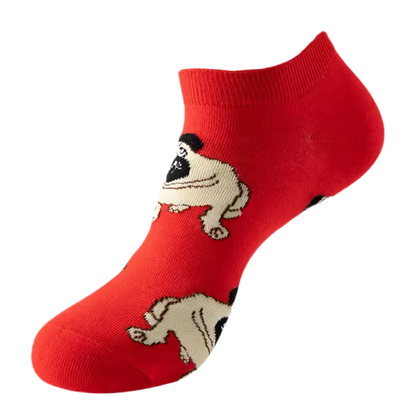 chaussettes courtes carlins