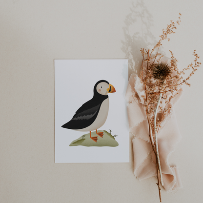 Puffin Greeting Card