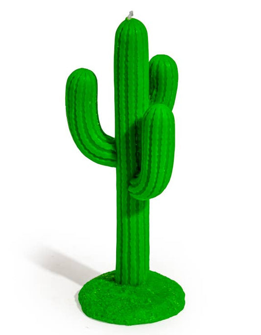 Bougie Cactus Vert