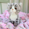 Peluche Animigos Chat Tigré Gris